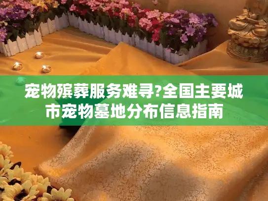 宠物殡葬服务难寻?全国主要城市宠物墓地分布信息指南