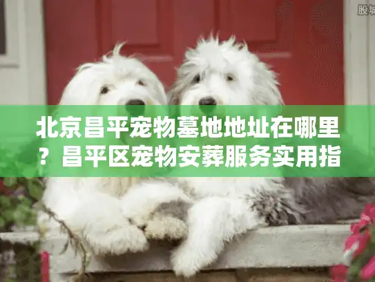 北京昌平宠物墓地地址在哪里？昌平区宠物安葬服务实用指南