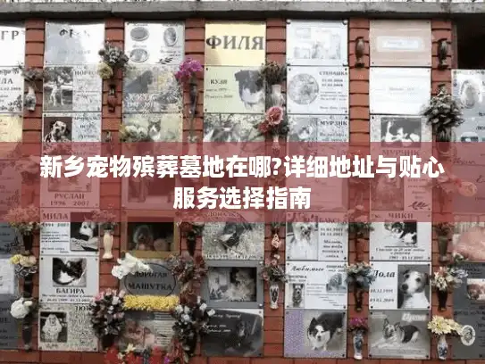 新乡宠物殡葬墓地在哪?详细地址与贴心服务选择指南