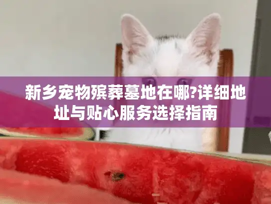 新乡宠物殡葬墓地在哪?详细地址与贴心服务选择指南
