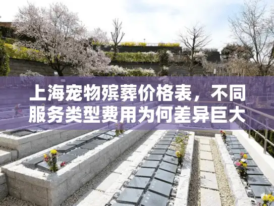 上海宠物殡葬价格表，不同服务类型费用为何差异巨大？