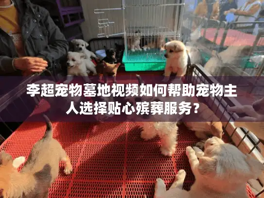 李超宠物墓地视频如何帮助宠物主人选择贴心殡葬服务？