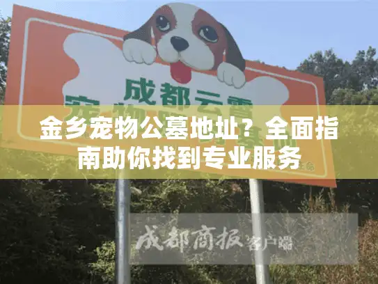 金乡宠物公墓地址？全面指南助你找到专业服务