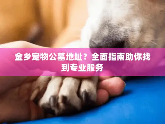 金乡宠物公墓地址？全面指南助你找到专业服务
