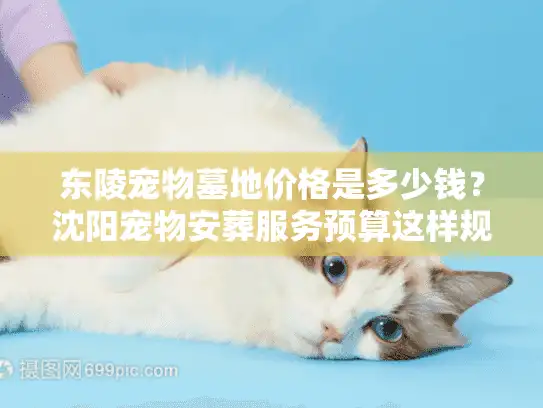 东陵宠物墓地价格是多少钱？沈阳宠物安葬服务预算这样规划更省心!