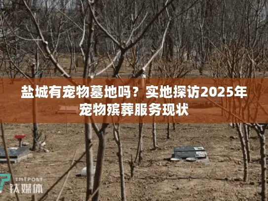 盐城有宠物墓地吗？实地探访2025年宠物殡葬服务现状