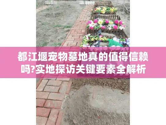 都江堰宠物墓地真的值得信赖吗?实地探访关键要素全解析