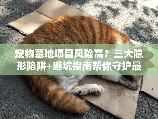 宠物墓地项目风险高？三大隐形陷阱+避坑指南帮你守护最后告别