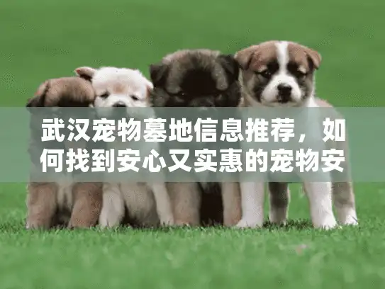 武汉宠物墓地信息推荐，如何找到安心又实惠的宠物安息地