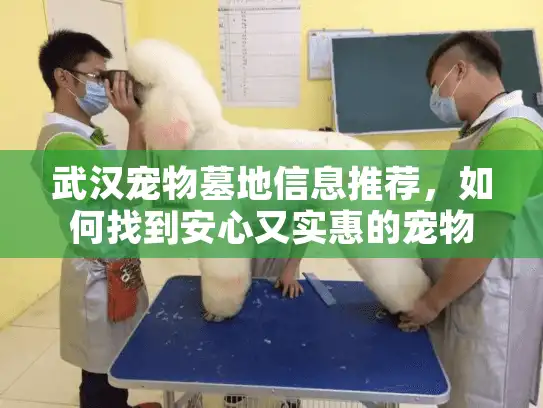武汉宠物墓地信息推荐，如何找到安心又实惠的宠物安息地