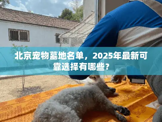 北京宠物墓地名单，2025年最新可靠选择有哪些？