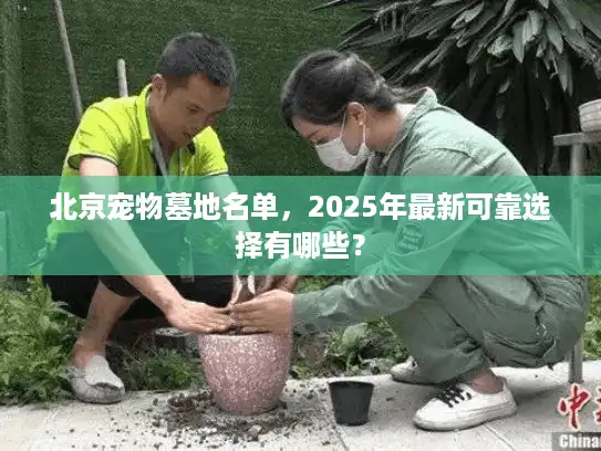 北京宠物墓地名单，2025年最新可靠选择有哪些？