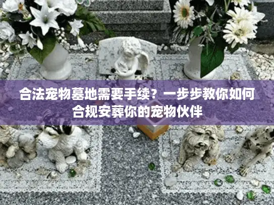 合法宠物墓地需要手续？一步步教你如何合规安葬你的宠物伙伴
