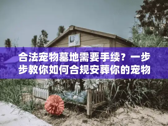 合法宠物墓地需要手续？一步步教你如何合规安葬你的宠物伙伴