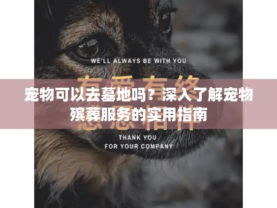 宠物可以去墓地吗？深入了解宠物殡葬服务的实用指南
