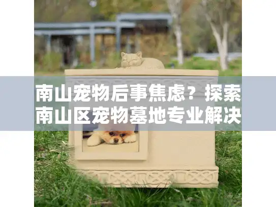 南山宠物后事焦虑？探索南山区宠物墓地专业解决方案