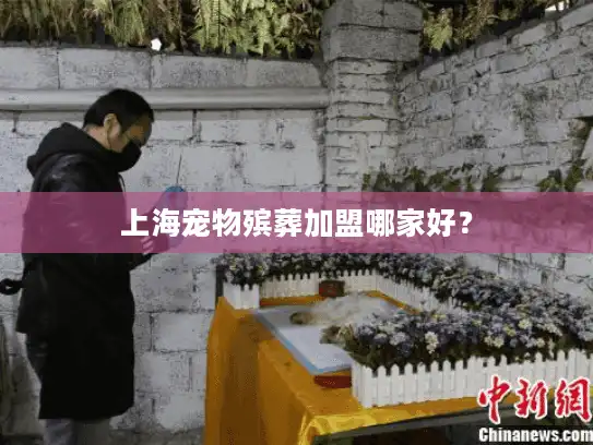 上海宠物殡葬加盟哪家好？