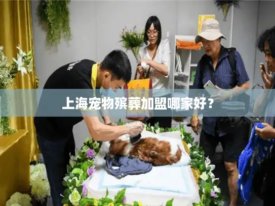 上海宠物殡葬加盟哪家好？