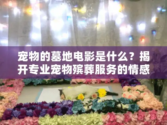 宠物的墓地电影是什么？揭开专业宠物殡葬服务的情感疗愈之道