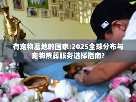 有宠物墓地的国家:2025全球分布与宠物殡葬服务选择指南?