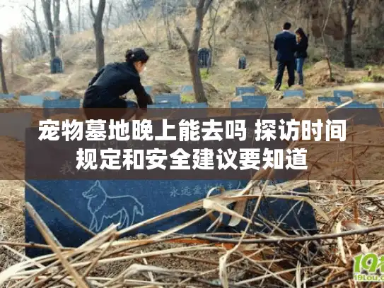宠物墓地晚上能去吗 探访时间规定和安全建议要知道
