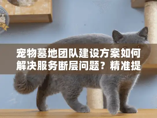 宠物墓地团队建设方案如何解决服务断层问题？精准提升告别仪式品质