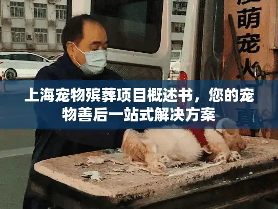 上海宠物殡葬项目概述书，您的宠物善后一站式解决方案