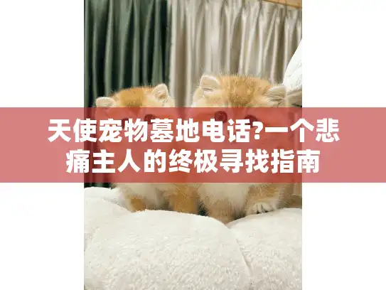 天使宠物墓地电话?一个悲痛主人的终极寻找指南