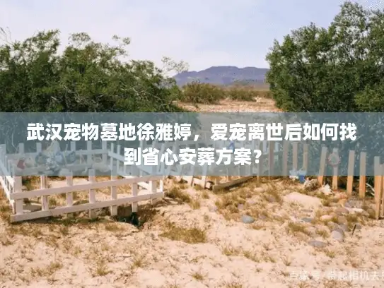 武汉宠物墓地徐雅婷，爱宠离世后如何找到省心安葬方案？