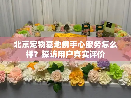 北京宠物墓地佛手心服务怎么样？探访用户真实评价