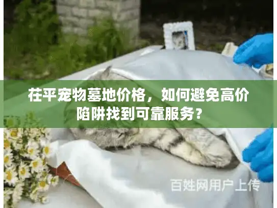 茌平宠物墓地价格，如何避免高价陷阱找到可靠服务？