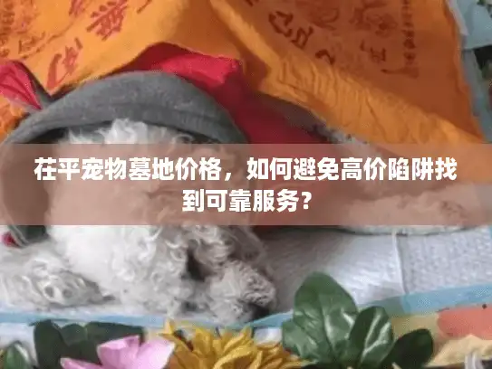 茌平宠物墓地价格，如何避免高价陷阱找到可靠服务？