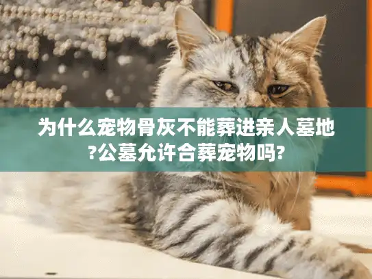 为什么宠物骨灰不能葬进亲人墓地?公墓允许合葬宠物吗?