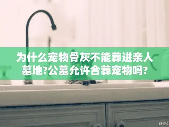 为什么宠物骨灰不能葬进亲人墓地?公墓允许合葬宠物吗?