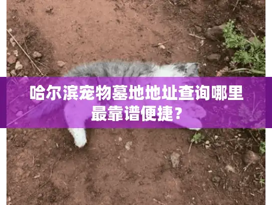 哈尔滨宠物墓地地址查询哪里最靠谱便捷？