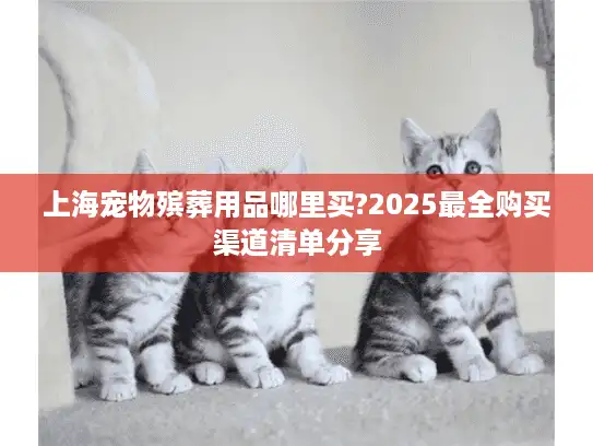 上海宠物殡葬用品哪里买?2025最全购买渠道清单分享
