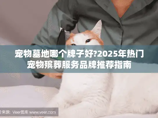 宠物墓地哪个牌子好?2025年热门宠物殡葬服务品牌推荐指南