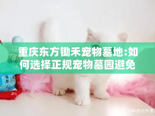 重庆东方锄禾宠物墓地:如何选择正规宠物墓园避免踩坑?