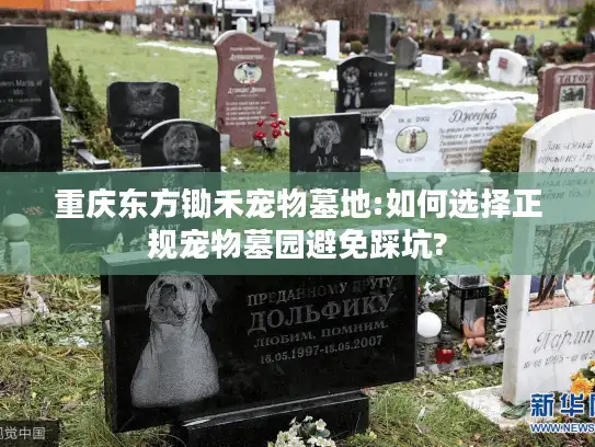 重庆东方锄禾宠物墓地:如何选择正规宠物墓园避免踩坑?