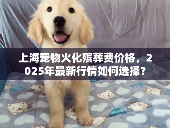 上海宠物火化殡葬费价格，2025年最新行情如何选择？