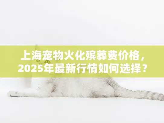 上海宠物火化殡葬费价格，2025年最新行情如何选择？