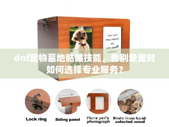 dnf宠物墓地骷髅技能，告别爱宠时如何选择专业服务？