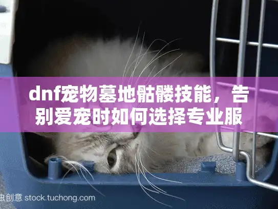 dnf宠物墓地骷髅技能，告别爱宠时如何选择专业服务？