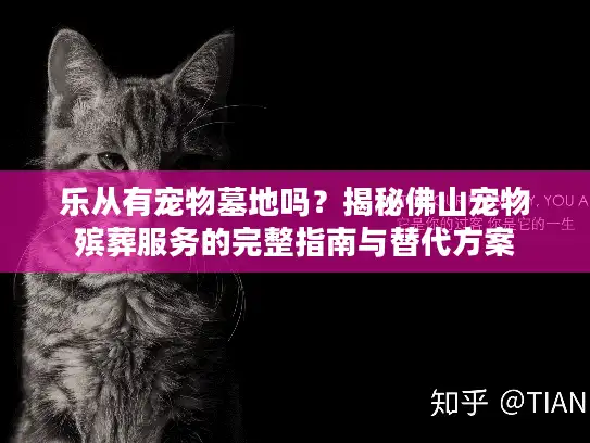 乐从有宠物墓地吗？揭秘佛山宠物殡葬服务的完整指南与替代方案
