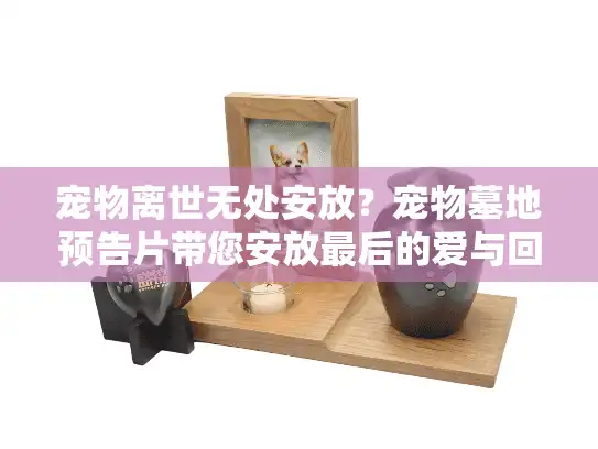 宠物离世无处安放？宠物墓地预告片带您安放最后的爱与回忆