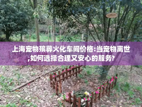 上海宠物殡葬火化车间价格:当宠物离世,如何选择合理又安心的服务?