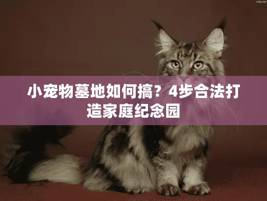 小宠物墓地如何搞？4步合法打造家庭纪念园