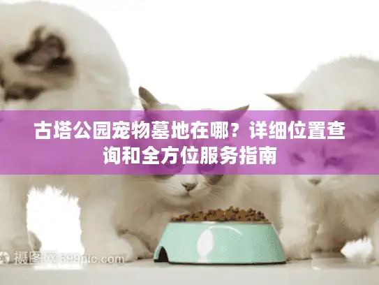 古塔公园宠物墓地在哪？详细位置查询和全方位服务指南