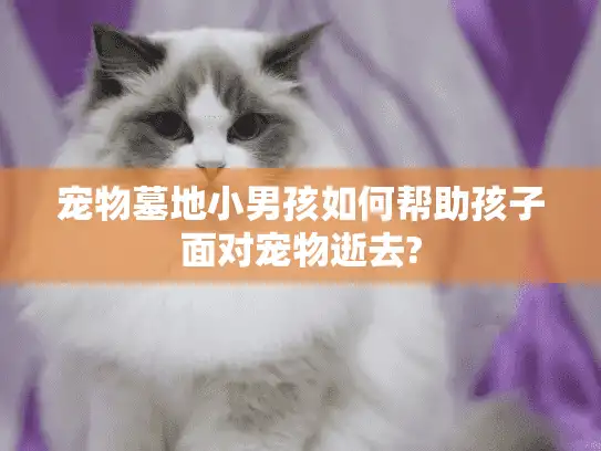 宠物墓地小男孩如何帮助孩子面对宠物逝去?