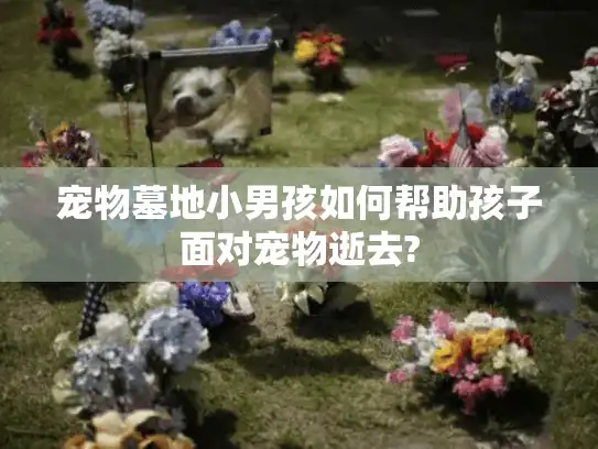 宠物墓地小男孩如何帮助孩子面对宠物逝去?
